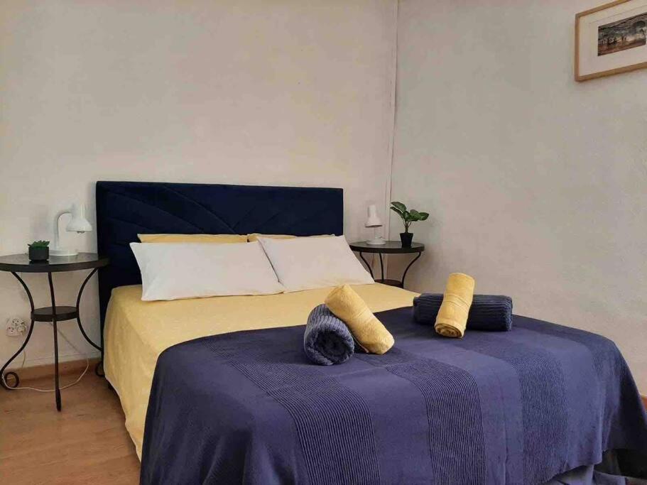 Historic French Townhouse Villa Saint-Thibéry Kültér fotó
