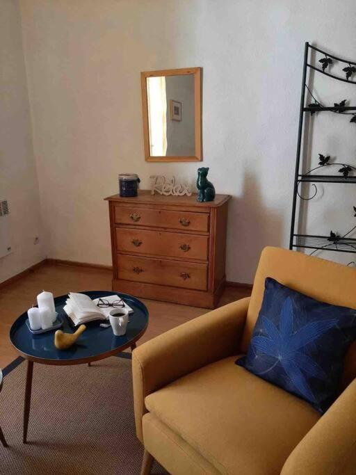 Historic French Townhouse Villa Saint-Thibéry Kültér fotó