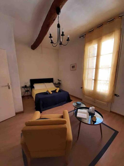 Historic French Townhouse Villa Saint-Thibéry Kültér fotó